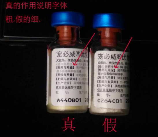 教您辨別英特威疫苗真假方法(圖2)